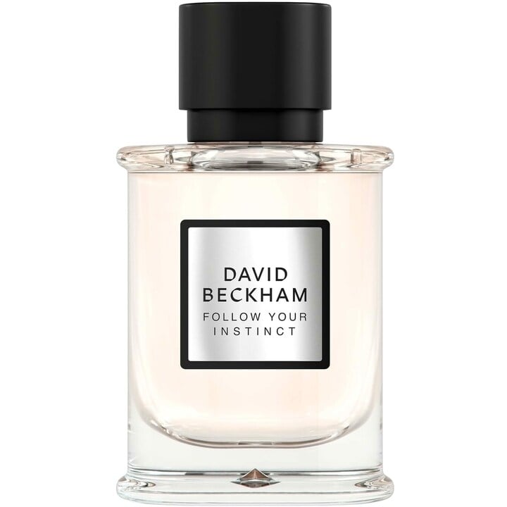 Follow Your Instinct 50ml Eau de Parfum by David Beckham for Men (Bottle)