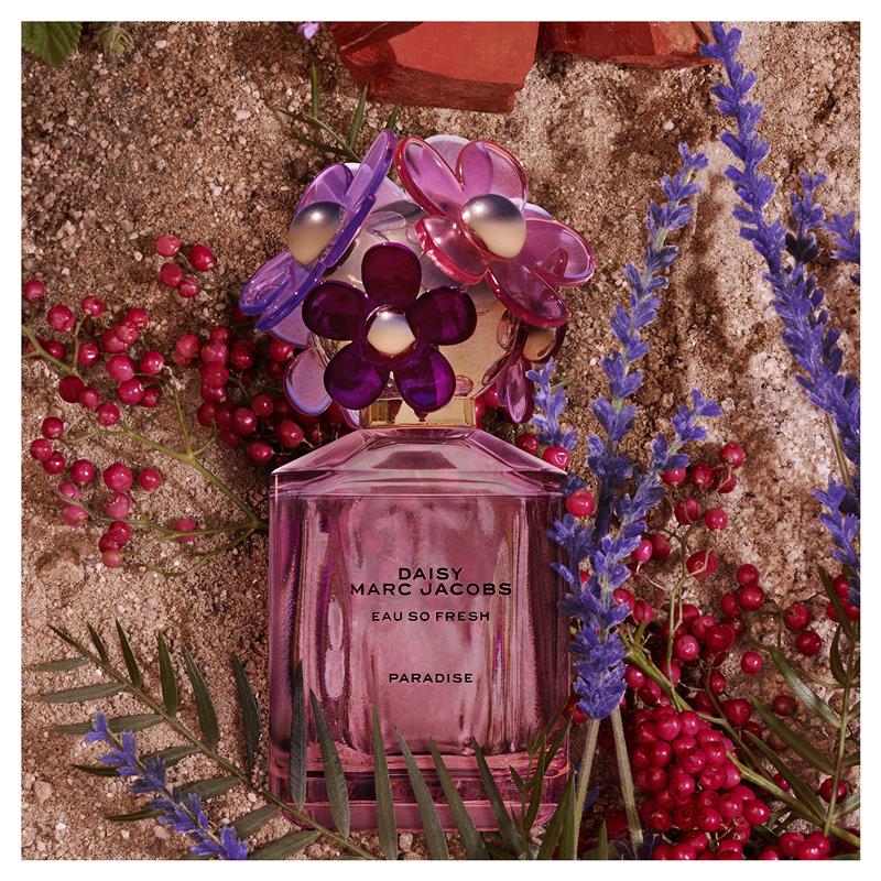 So Fresh Perfume Daisy Edt Marc Jacobs Daisy Eau So Fresh Paradise