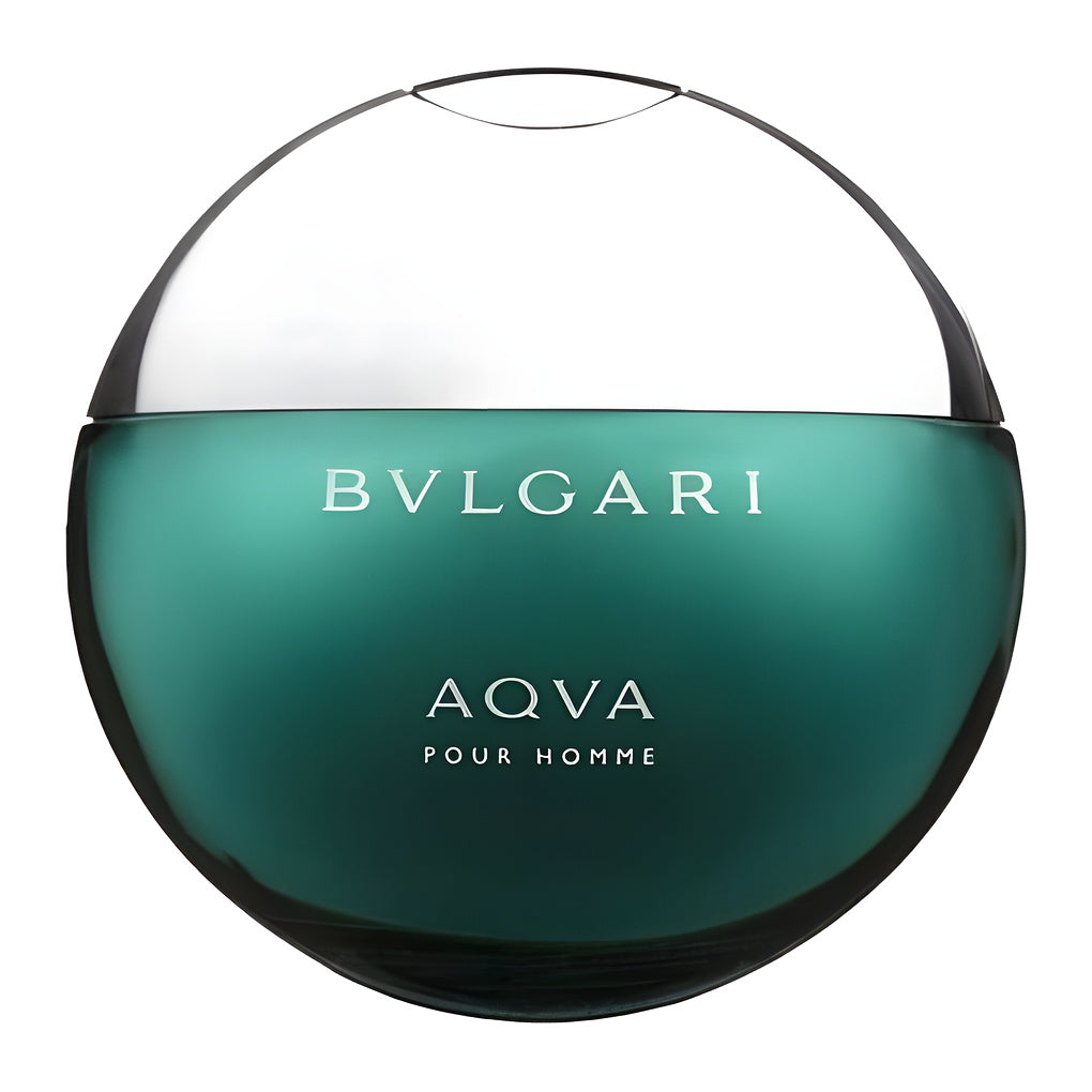 Aqua Pour Homme 100ml Eau de Toilette