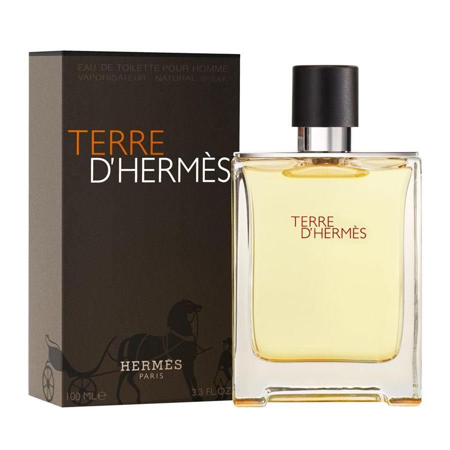 Terre D'Hermes 100ml Eau de Toilette by Hermes for Men (Bottle)