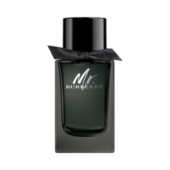 Mr. Burberry 100ml Eau de Parfum