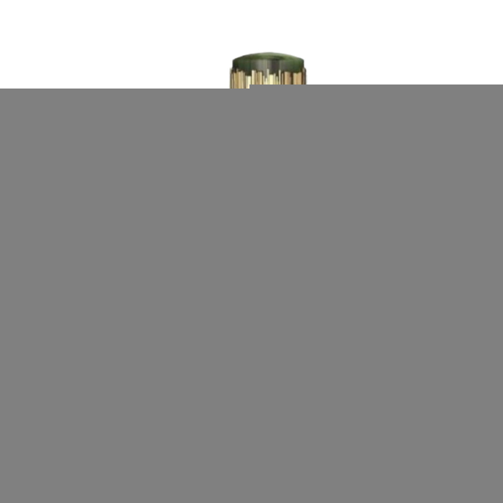 Sarmate 100ml Eau de Parfum