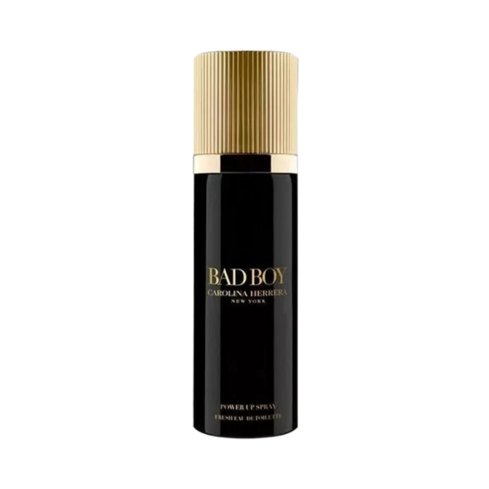 Bad Boy Power Up 100ml Eau de Toilette