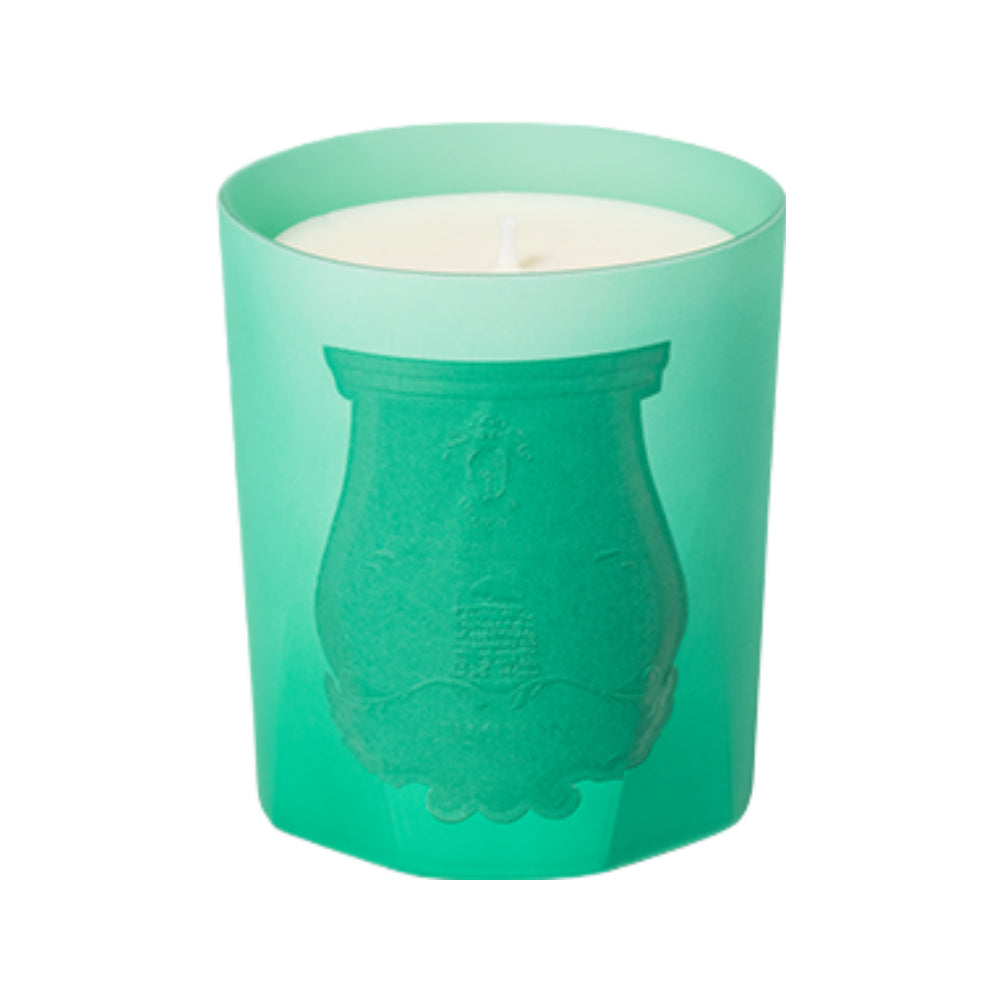 Under the Trees Tester Candle 270g Candle