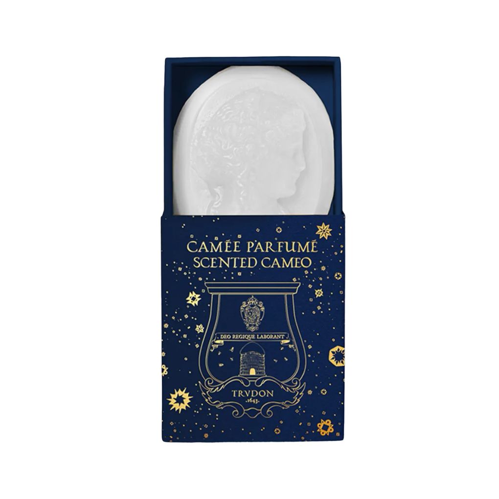 Fir Festive Scented Cameos 4 Pack NA